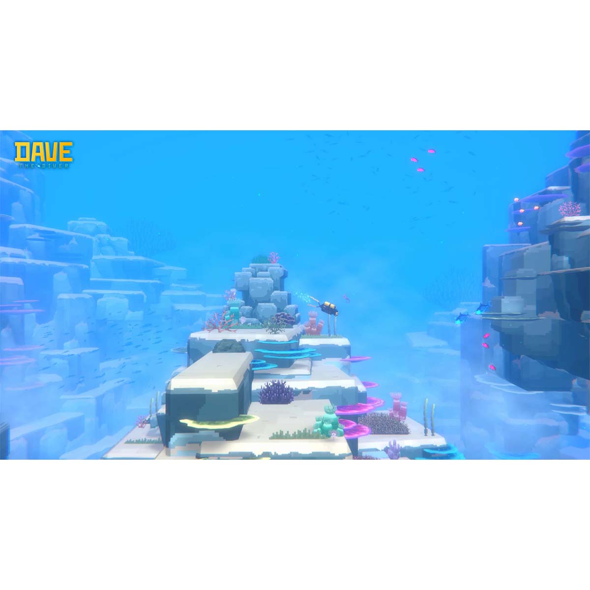 Dave the Dive