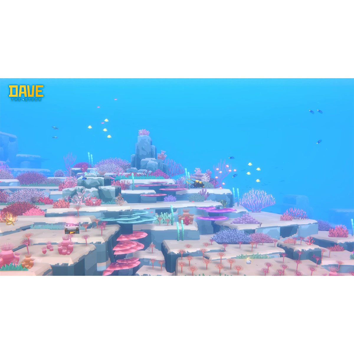 Dave the Dive