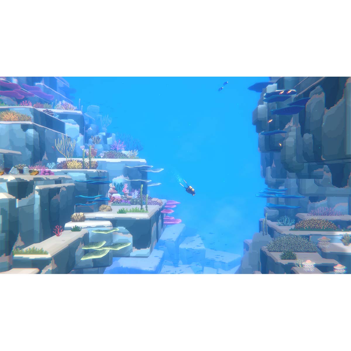 Dave the Dive