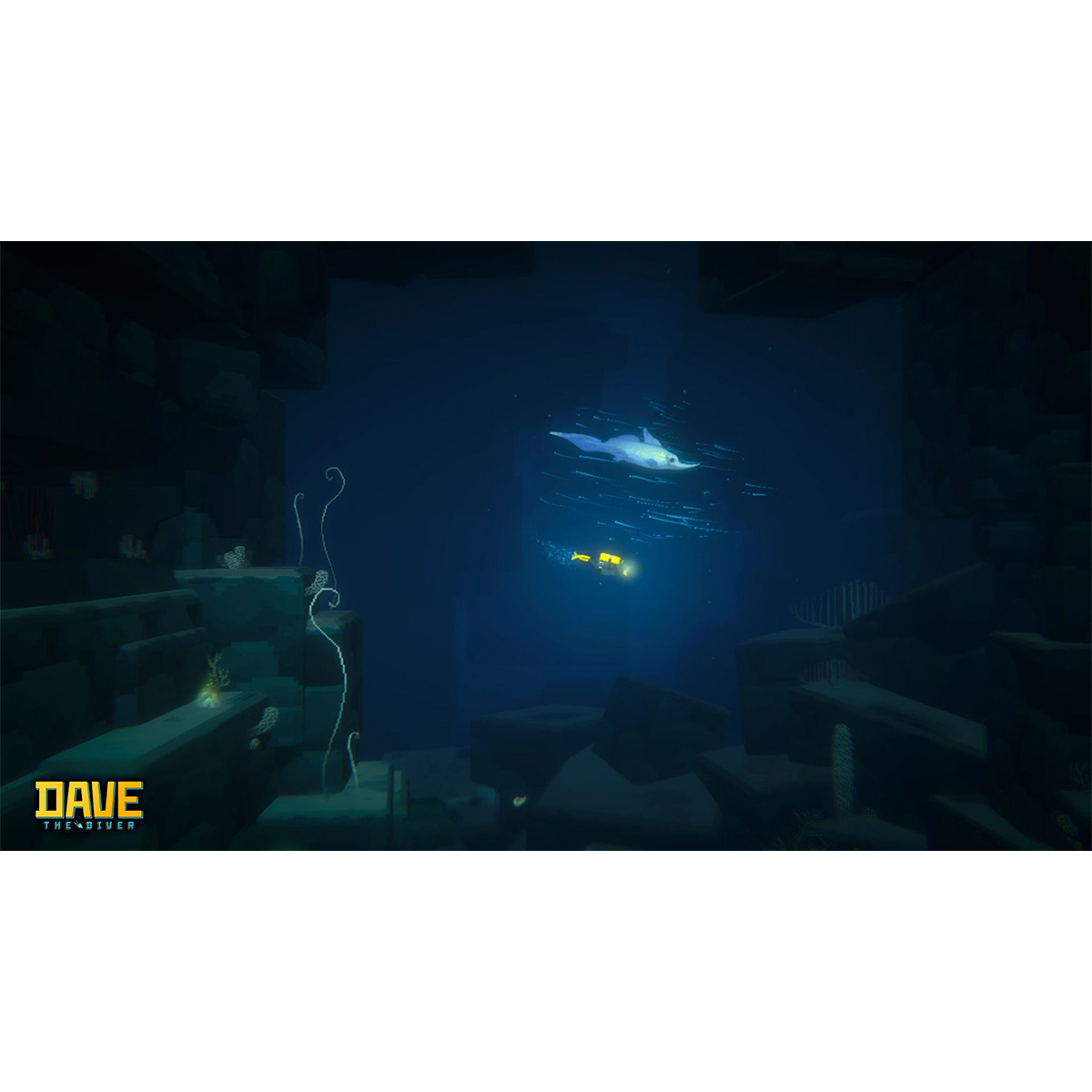Dave the Dive