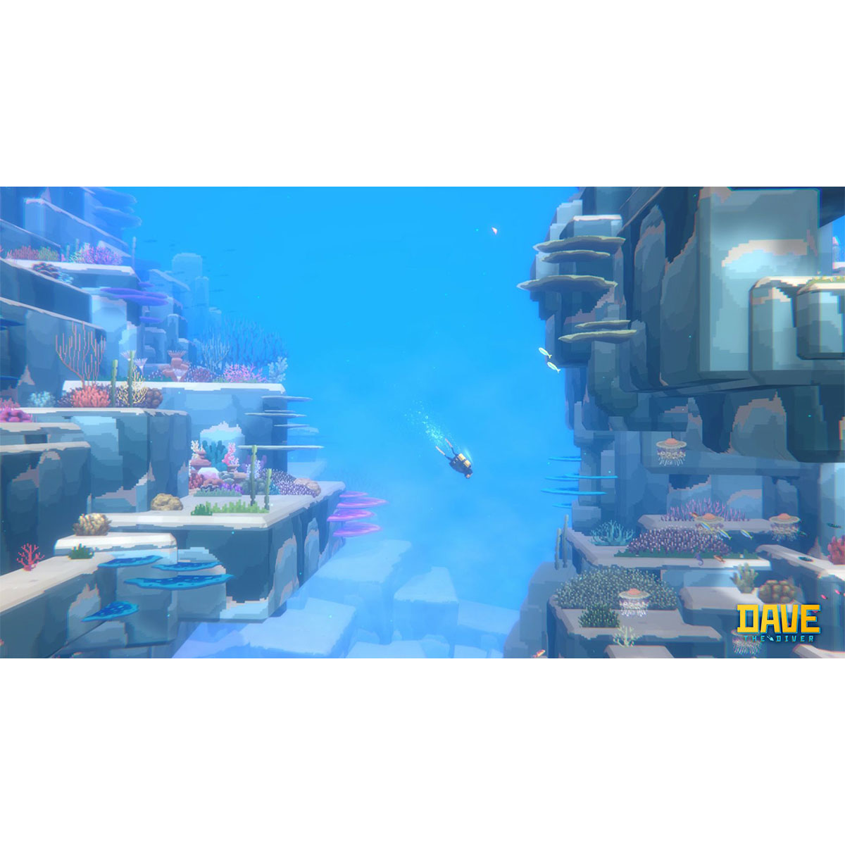 Dave the Dive